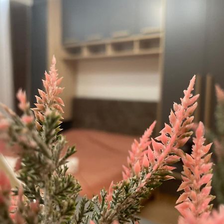 Daf Apartaments Pristina Esterno foto