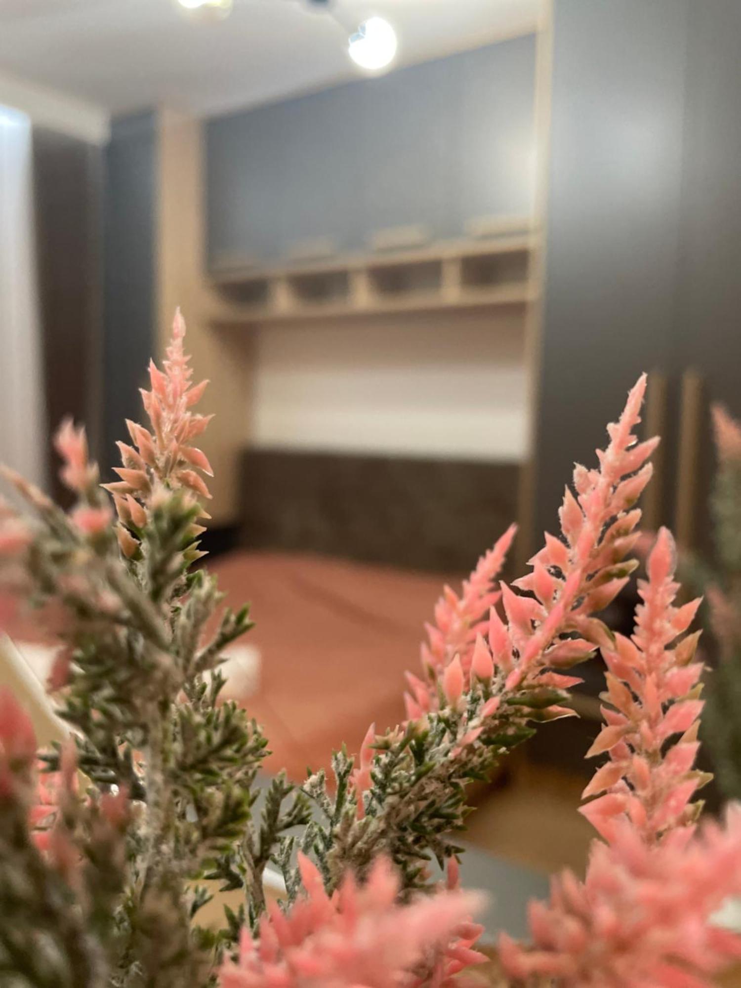 Daf Apartaments Pristina Esterno foto